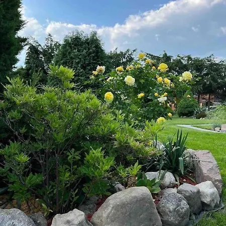 W Karkonoszach 度假居 *