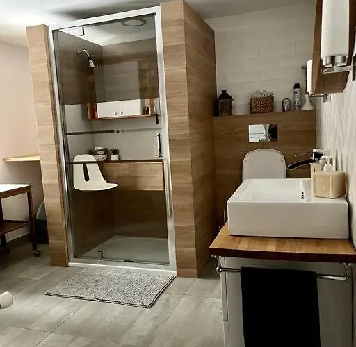 W Karkonoszach 別荘 *